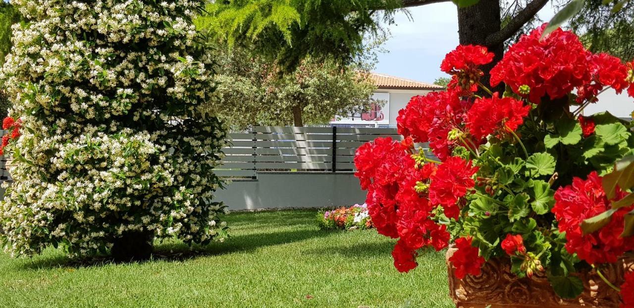 Fiori Apartment Umag Bagian luar foto